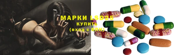 ГАЛЛЮЦИНОГЕННЫЕ ГРИБЫ Богородск