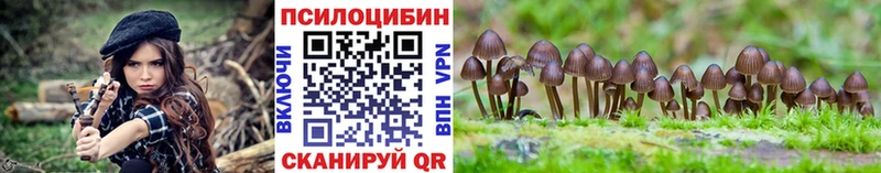 купить наркотики цена  Благовещенск  Псилоцибиновые грибы прущие грибы 